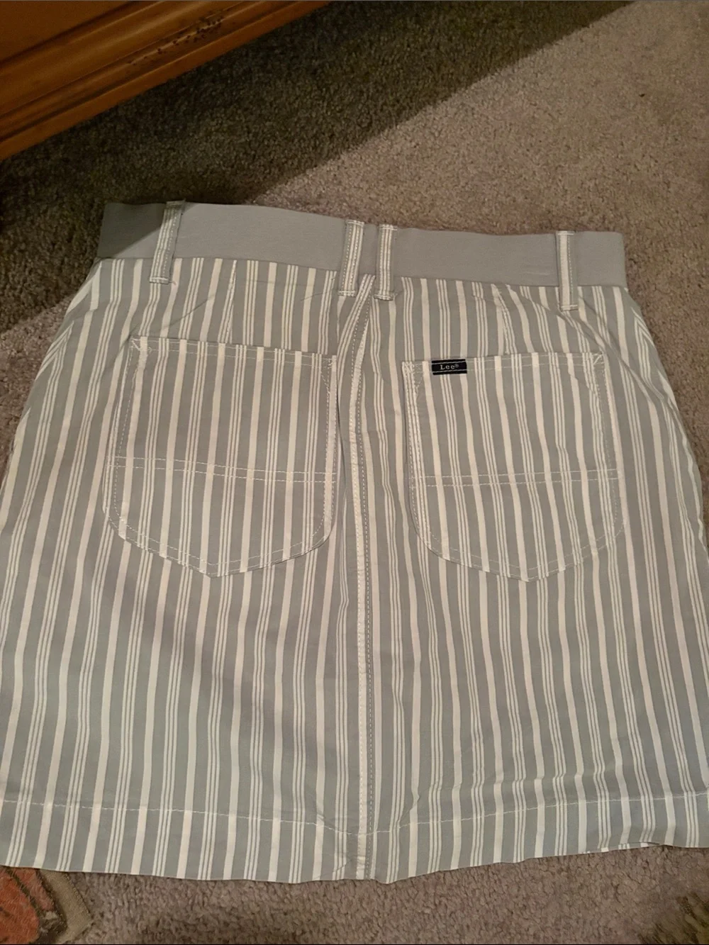 Lee Striped Mini Skirt in Blue and White